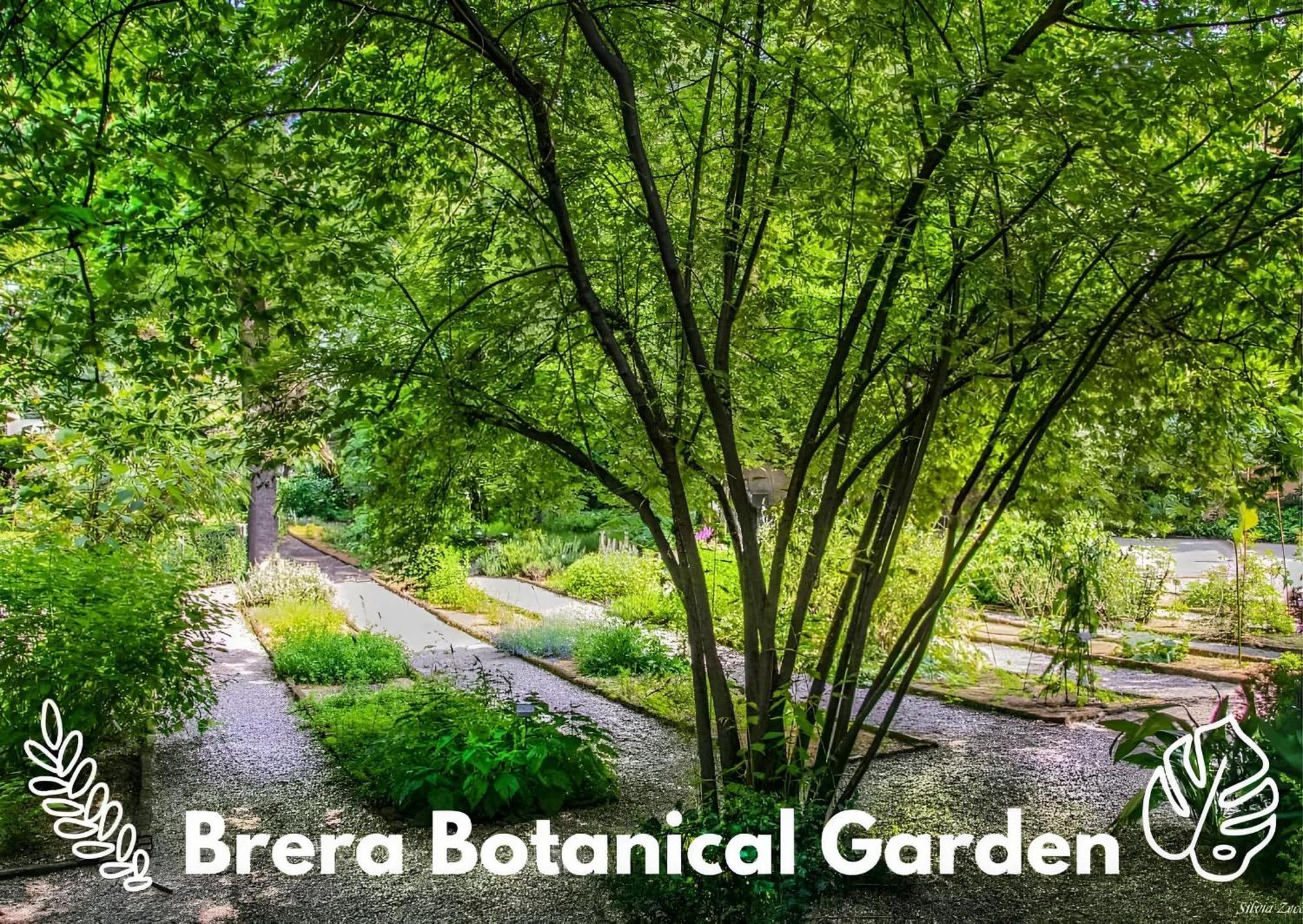Brera Vip Spotlight - Brera - Duomo - Castello Sforzesco - Lanza Metro M2 Apartment Milan Bagian luar foto